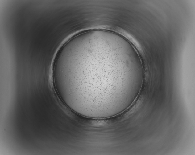 X0000102521332200808151524