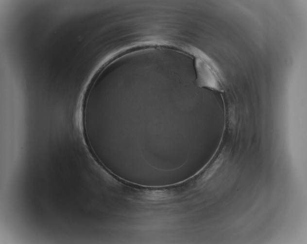 X0000102521334200808151524