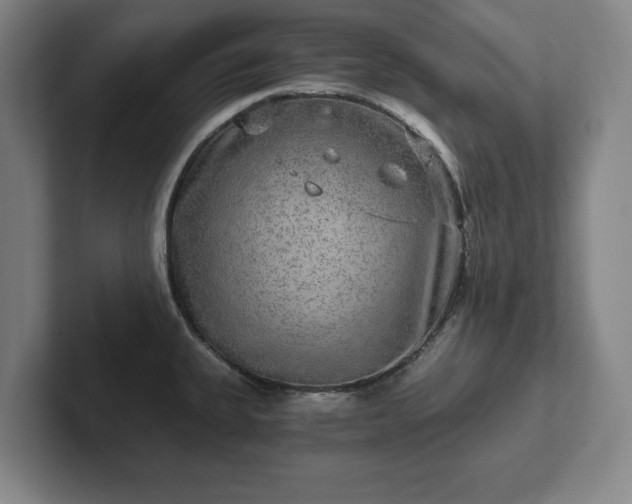 X0000102521335200808151524