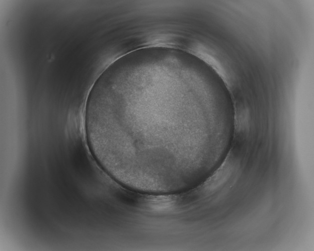 X0000102521338200808151524