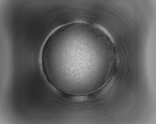 X0000102521339200808151524