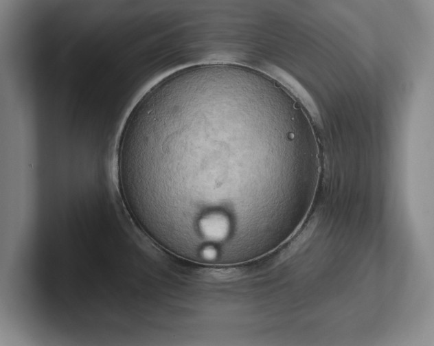 X0000102521340200808151524