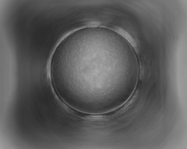 X0000102521342200808151524