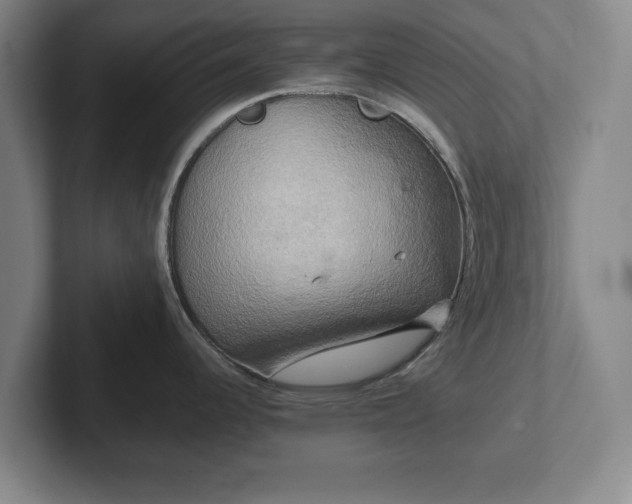 X0000102521344200808151524