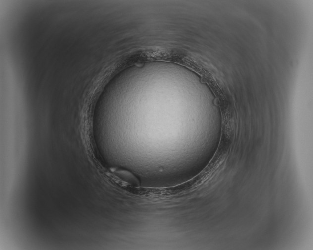 X0000102521345200808151524