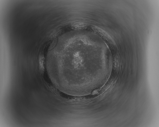 X0000102521346200808151524