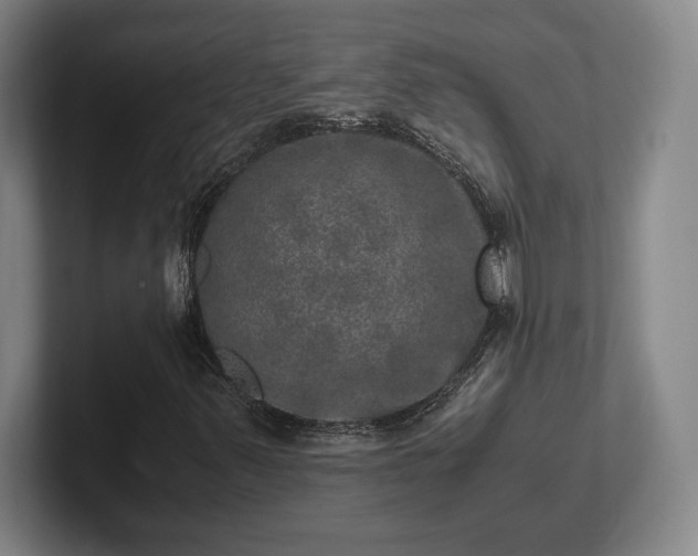 X0000102521347200808151524