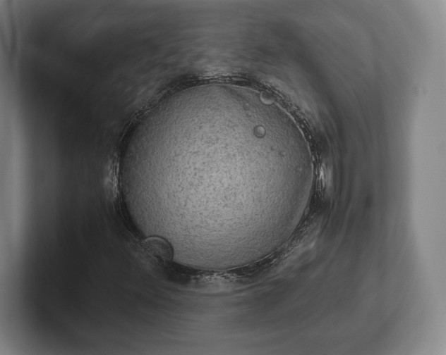 X0000102521348200808151524