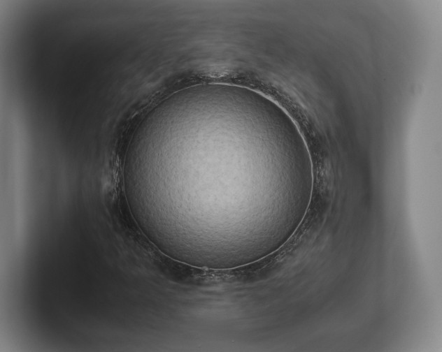 X0000102521349200808151524