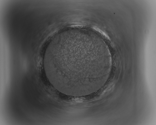 X0000102521351200808151524