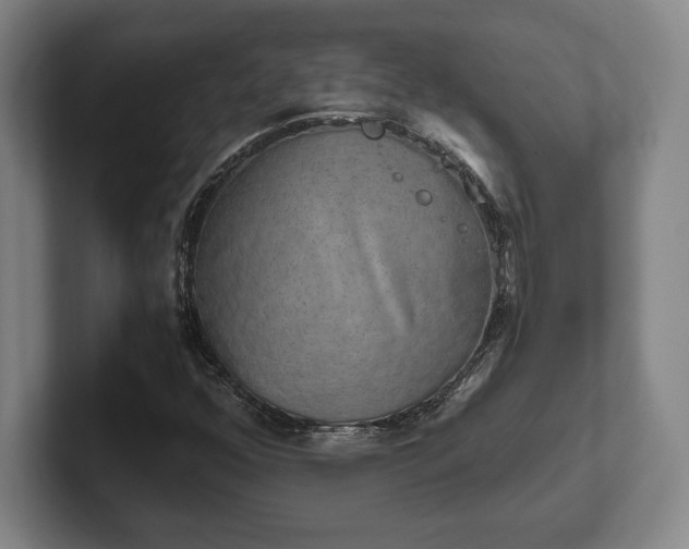 X0000102521352200808151524