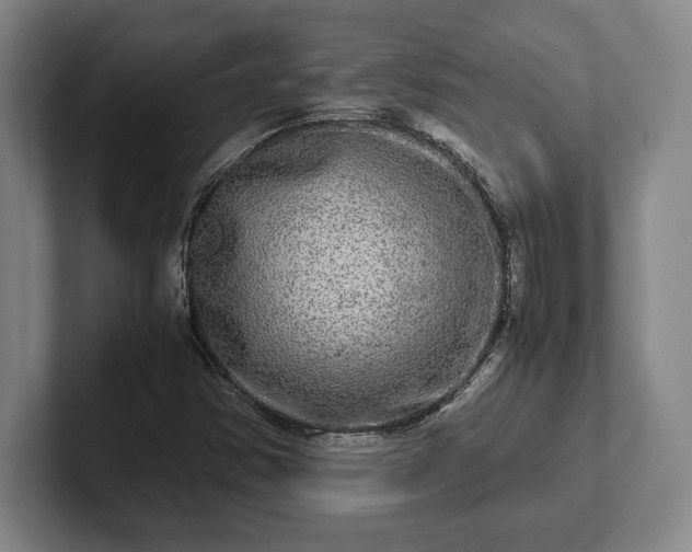 X0000102521354200808151524