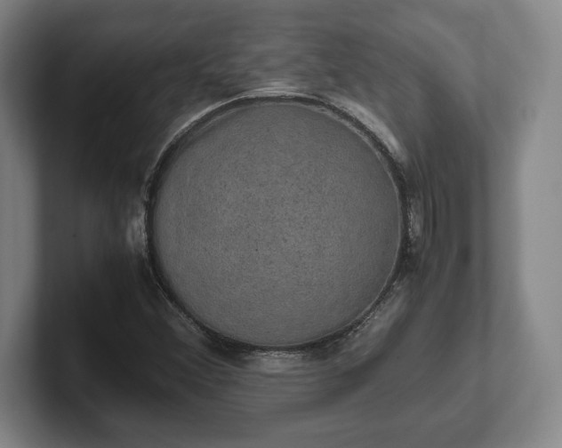 X0000102521356200808151524