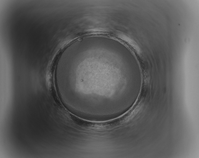 X0000102521357200808151523