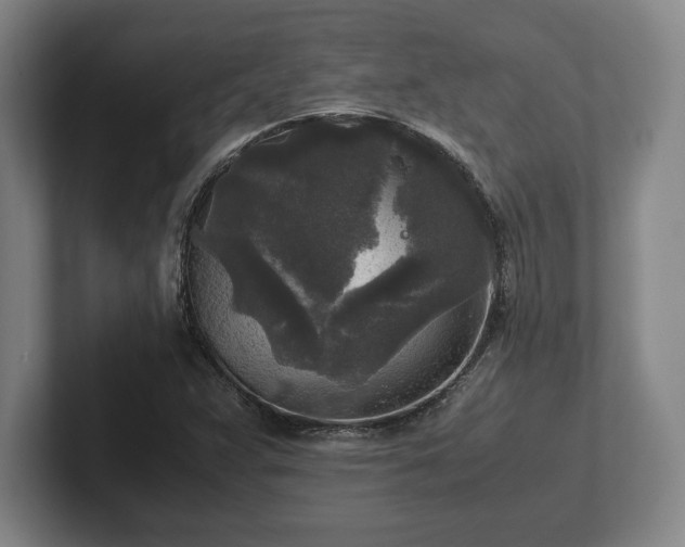 X0000102521359200808151523