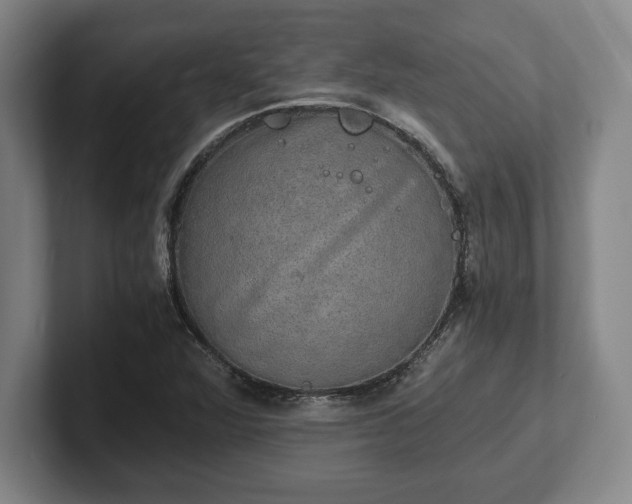 X0000102521360200808151523