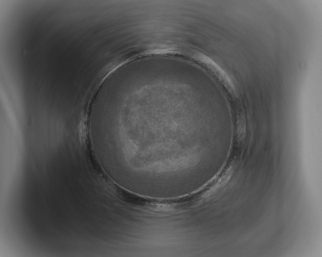 X0000102521361200808151523