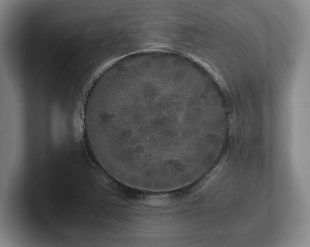 X0000102521363200808151523