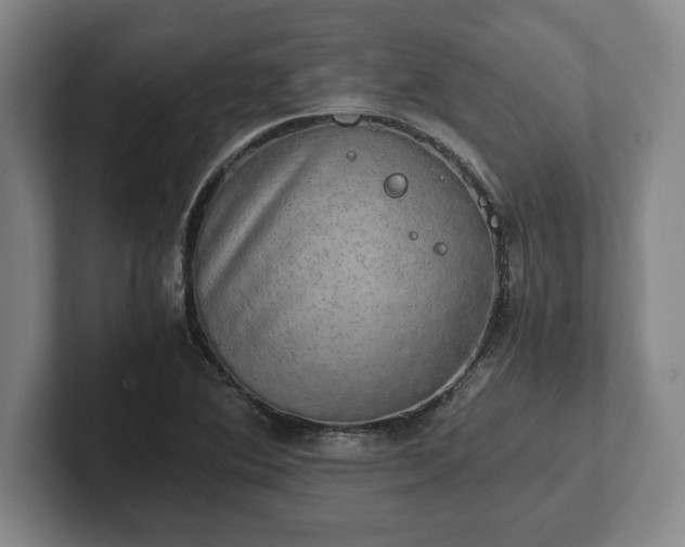 X0000102521364200808151523