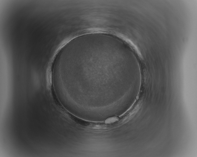 X0000102521365200808151523