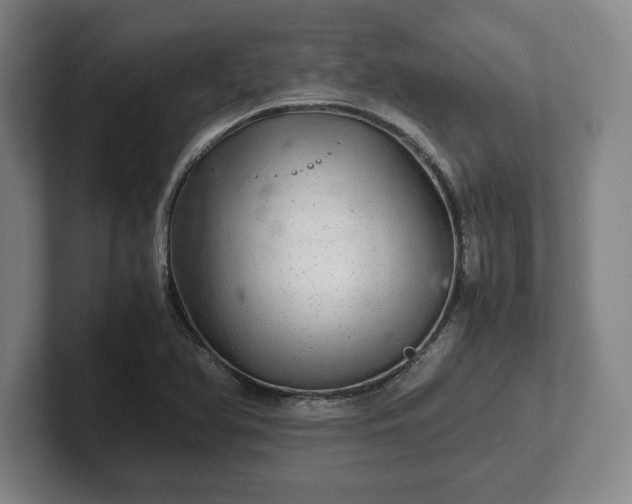 X0000102521366200808151523