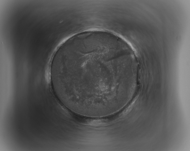 X0000102521367200808151523