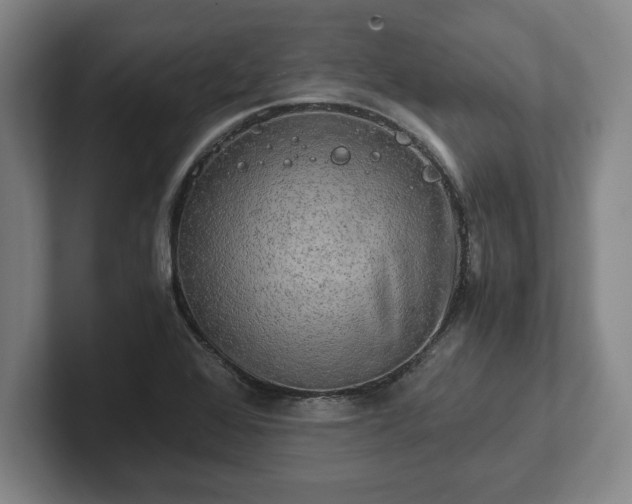 X0000102521368200808151523