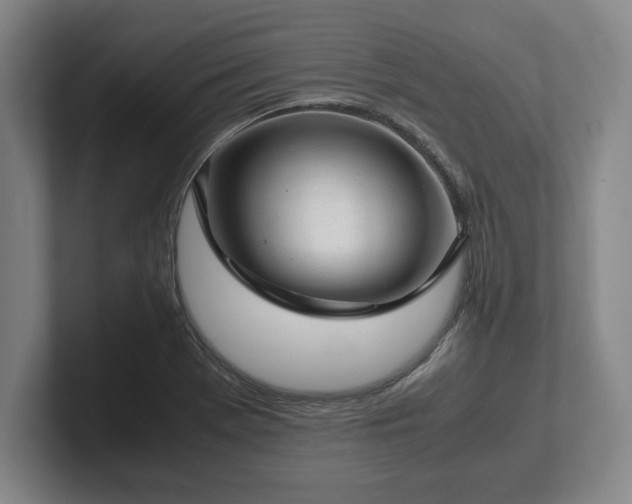 X0000102521369200808151523