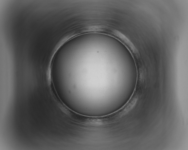 X0000102521370200808151523