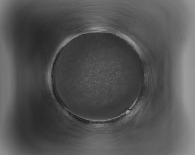 X0000102521373200808151523