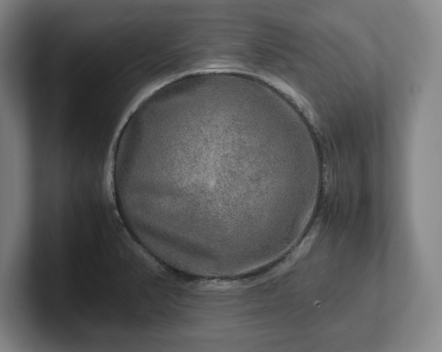 X0000102521374200808151523