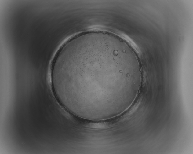 X0000102521376200808151523