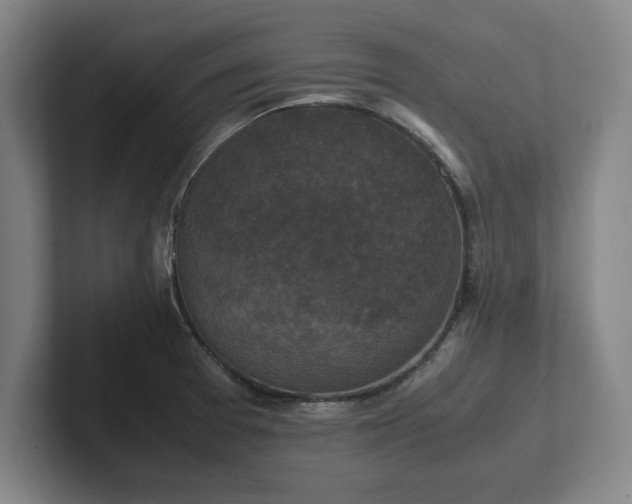 X0000102521377200808151523