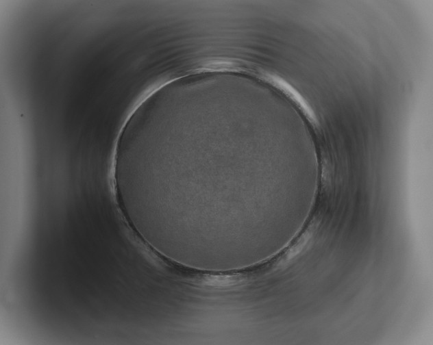 X0000102521378200808151523