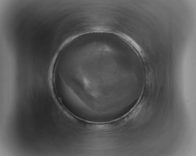 X0000102521381200808151523