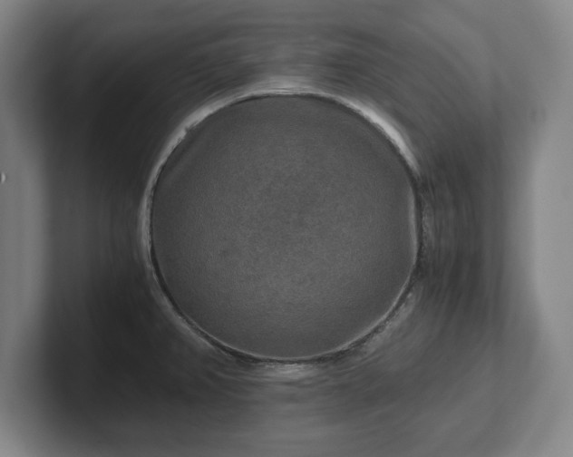 X0000102521382200808151523