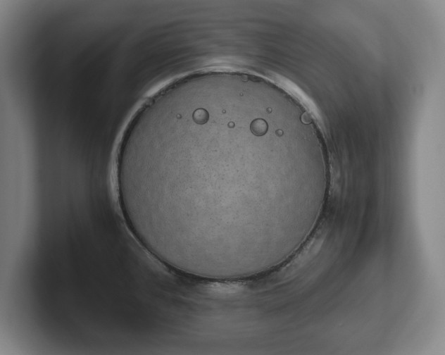 X0000102521384200808151523