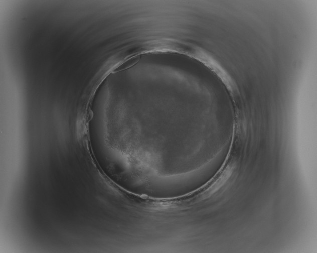 X0000102521385200808151523