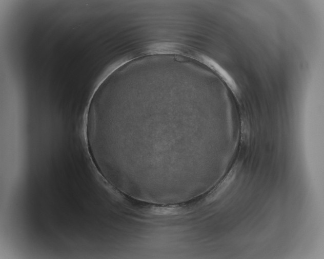 X0000102521386200808151523