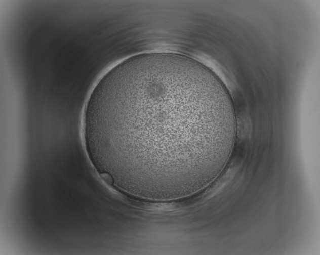 X0000102521387200808151523