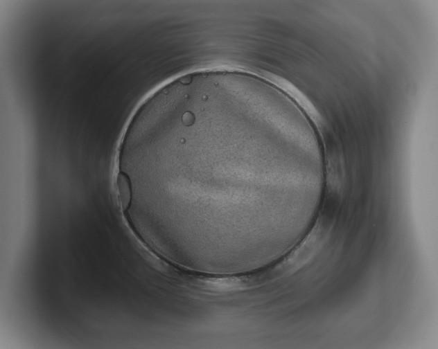 X0000102521388200808151523