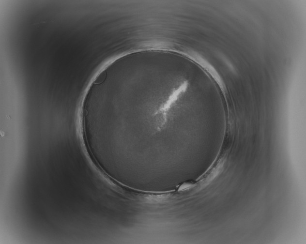 X0000102521389200808151523