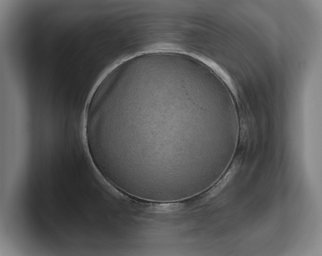 X0000102521390200808151523