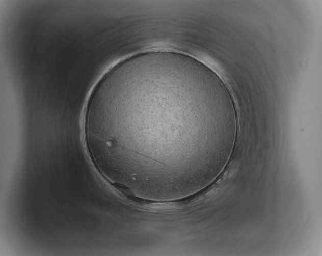 X0000102521392200808151523