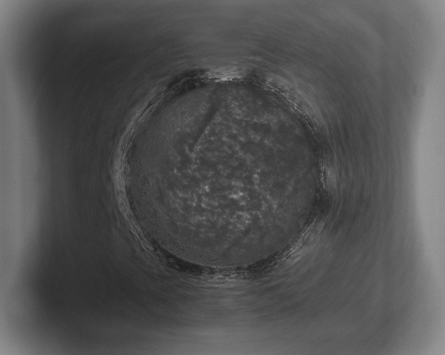 X0000102521393200808151522