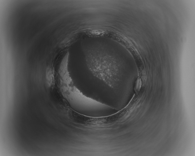 X0000102521394200808151522