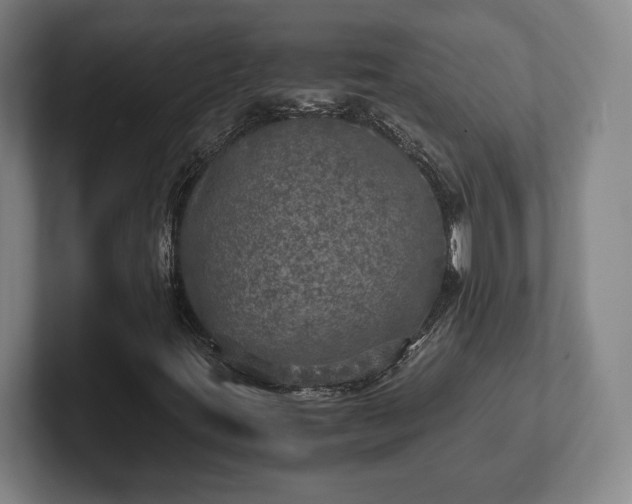 X0000102521395200808151522