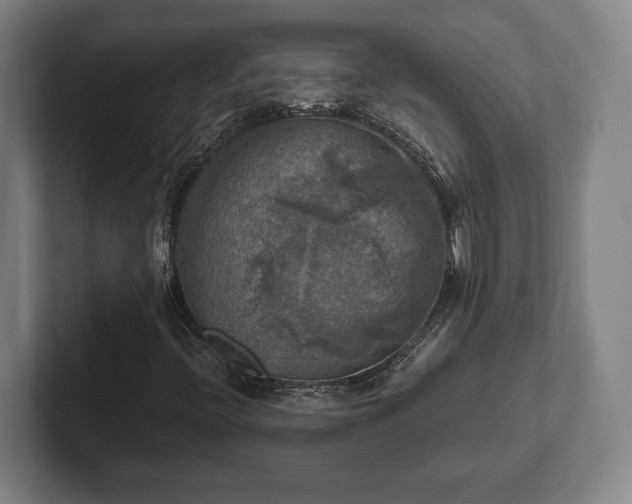 X0000102521396200808151522