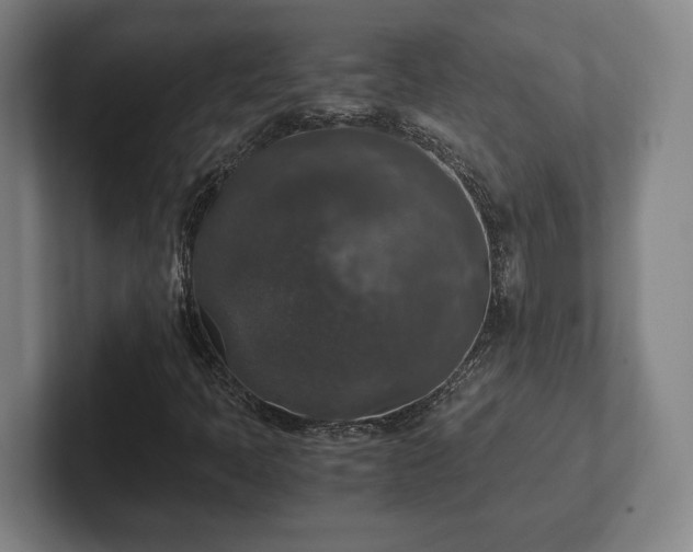 X0000102521397200808151522