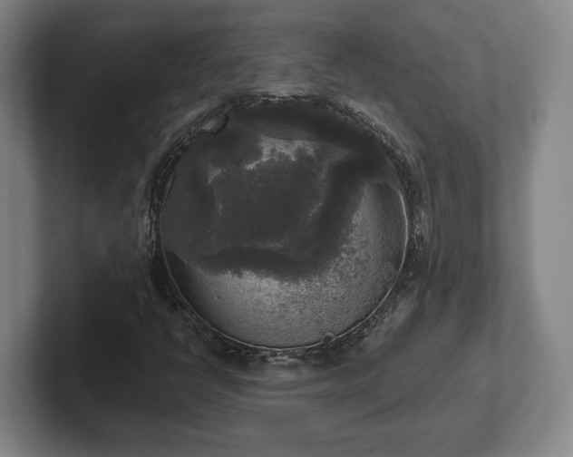 X0000102521398200808151522